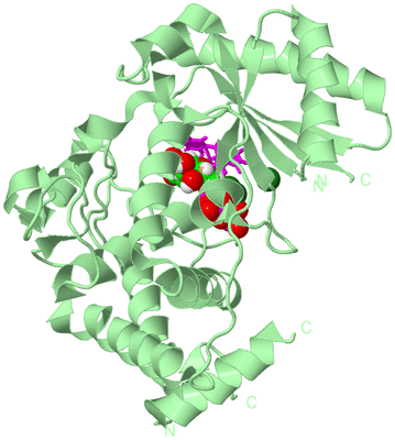 Image Biological Unit 2