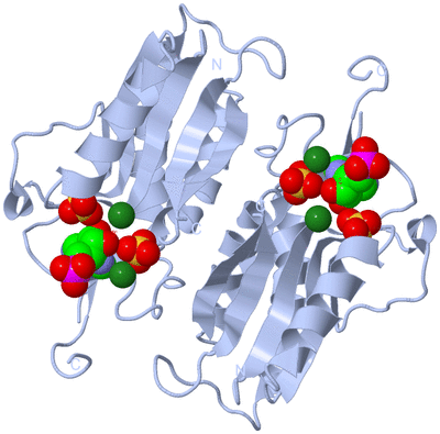 Image Biological Unit 1