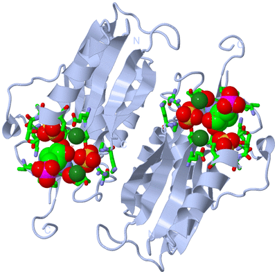 Image Biol. Unit 1 - sites