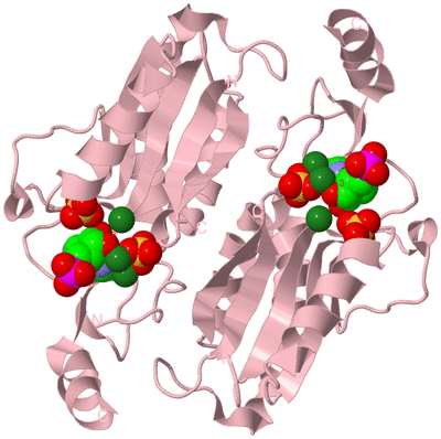 Image Biological Unit 2