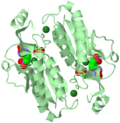 Image Biological Unit 2