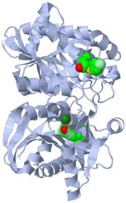 Image Biological Unit 1