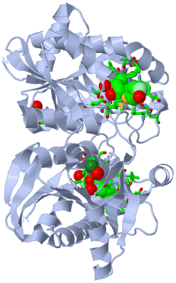 Image Biol. Unit 1 - sites