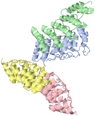 Image Asymmetric Unit