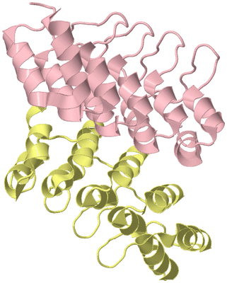 Image Biological Unit 2