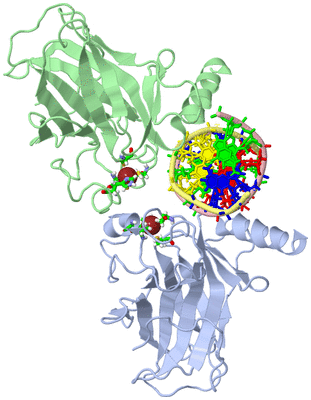 Image Asym./Biol. Unit - sites