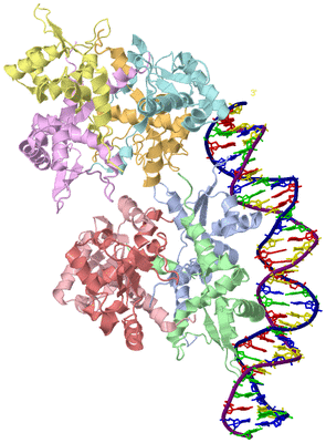 Image Asymmetric Unit