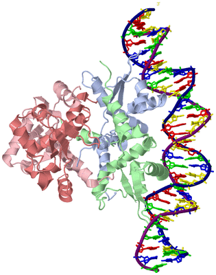 Image Biological Unit 1