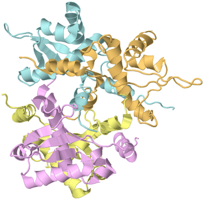 Image Biological Unit 2