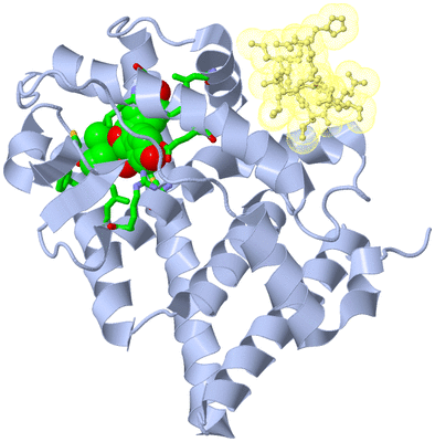 Image Biol. Unit 1 - sites