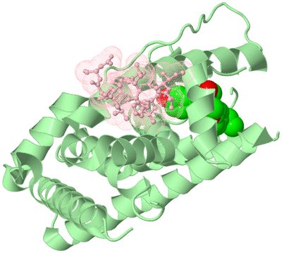 Image Biological Unit 2