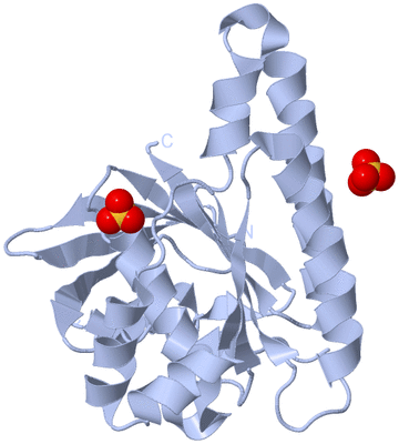 Image Biological Unit 1