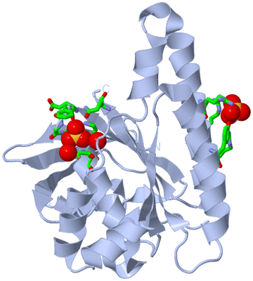 Image Biol. Unit 1 - sites