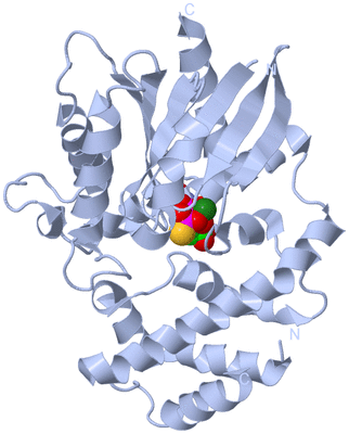 Image Biological Unit 1