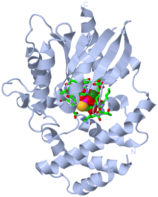 Image Biol. Unit 1 - sites