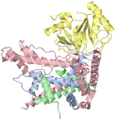 Image Asym./Biol. Unit