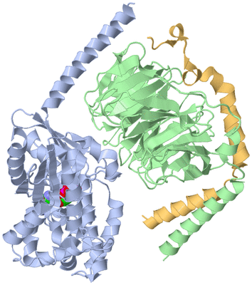 Image Asym./Biol. Unit