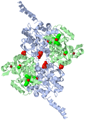 Image Biological Unit 1