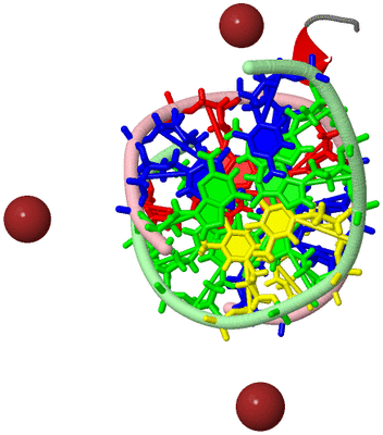 Image Asym./Biol. Unit