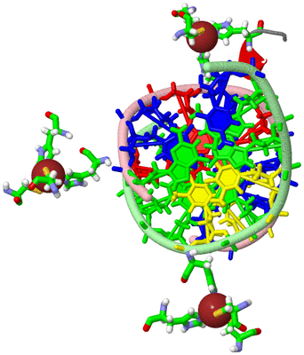 Image Asym./Biol. Unit - sites