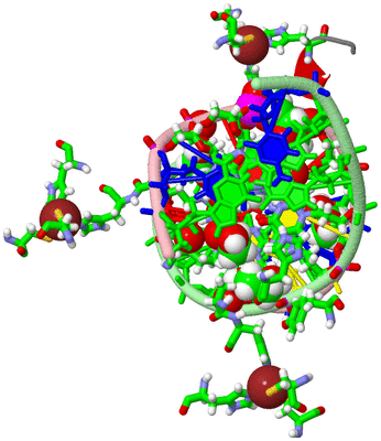 Image Asym./Biol. Unit - sites