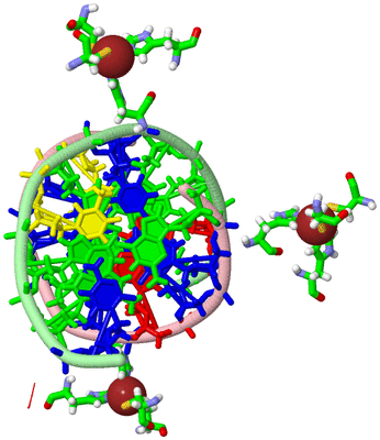 Image Asym./Biol. Unit - sites