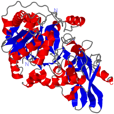 Image Asym./Biol. Unit