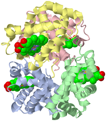 Image Biological Unit 1