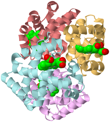 Image Biological Unit 2