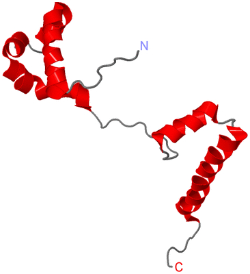 Image NMR Structure - model 1