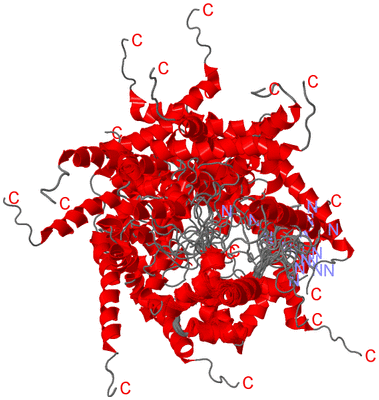 Image NMR Structure - all models