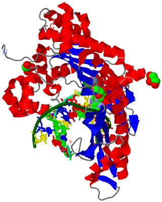 Image Asym./Biol. Unit