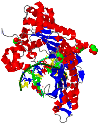 Image Asym./Biol. Unit