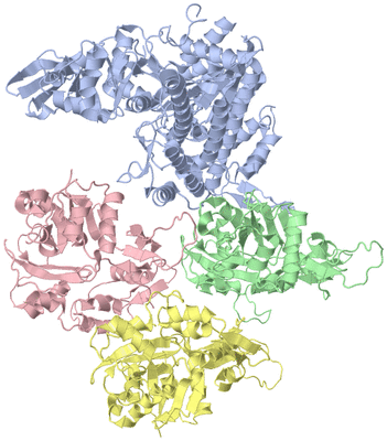 Image Asym./Biol. Unit