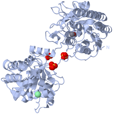 Image Biological Unit 1