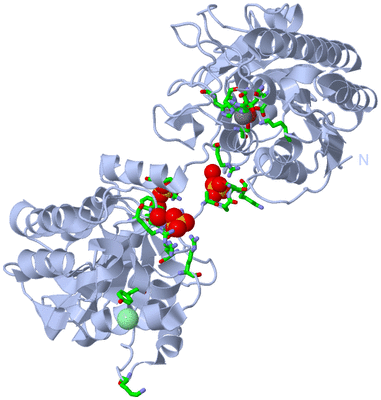 Image Biol. Unit 1 - sites