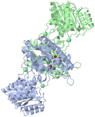 Image Asym./Biol. Unit