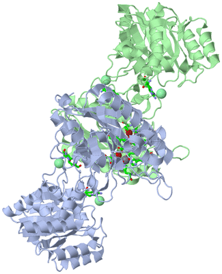 Image Asym./Biol. Unit - sites