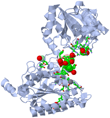 Image Biol. Unit 1 - sites