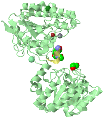 Image Biological Unit 2