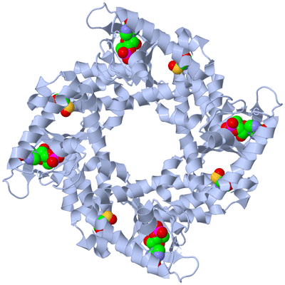 Image Biological Unit 1