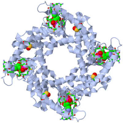 Image Biol. Unit 1 - sites