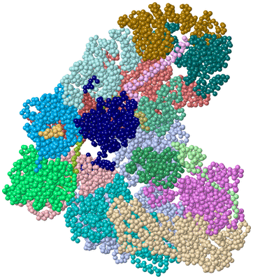 Image Asym./Biol. Unit