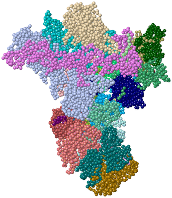 Image Asym./Biol. Unit