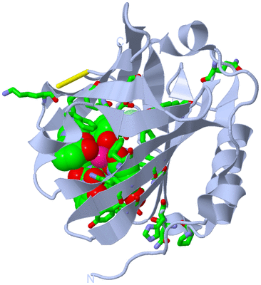 Image Biol. Unit 1 - sites