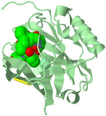 Image Biological Unit 2