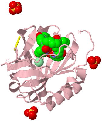 Image Biological Unit 3