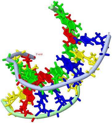 Image NMR Structure - model 1