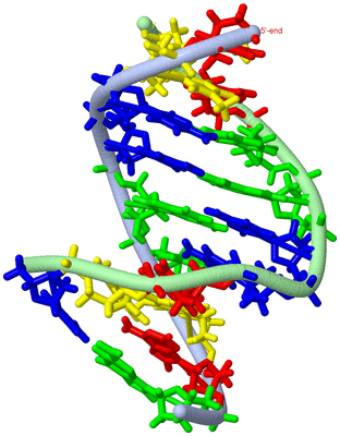 Image NMR Structure - model 1