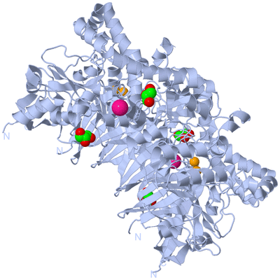 Image Biological Unit 1